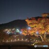 夜空を照らす紅葉の光