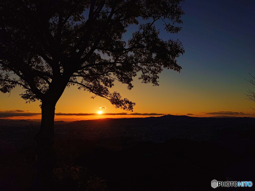 夕景に浮かび上がる