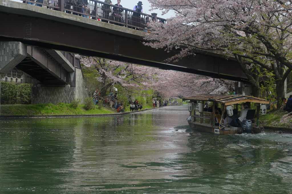 伏見であい橋の風景