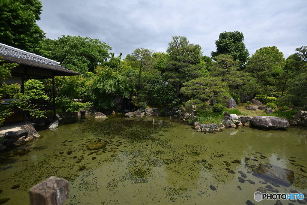 名勝 渉成園の景色 #1