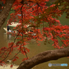 紅葉と屋形船 #1