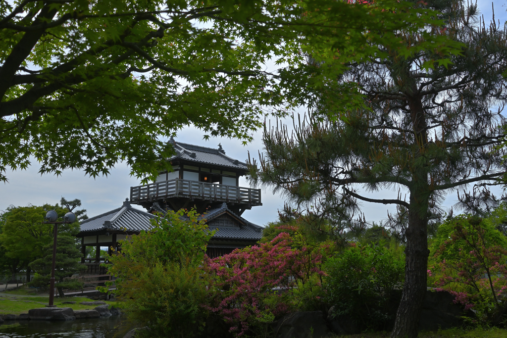 新緑の池田城跡公園