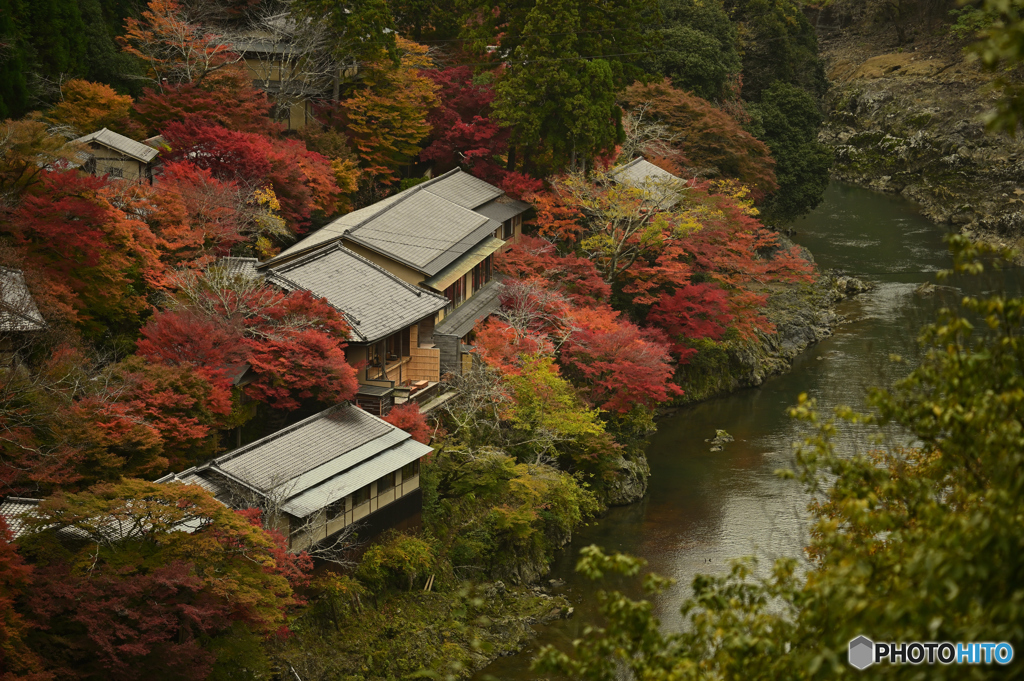 星のや京都と紅葉