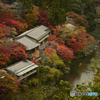 星のや京都と紅葉