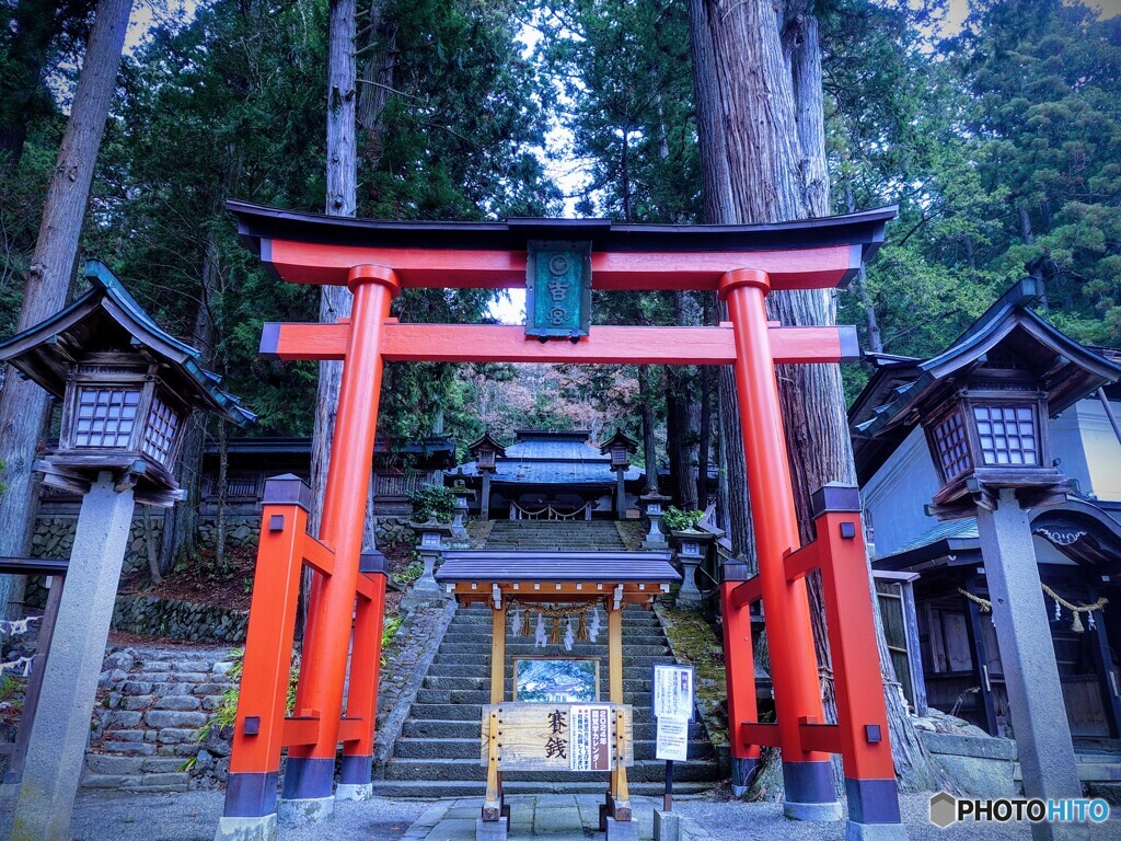 際立つ朱の鳥居