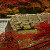 茅葺き屋根と紅葉 #2