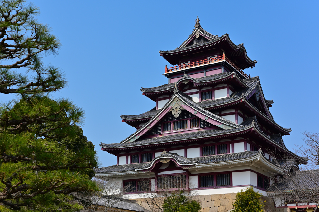 晴天下の伏見桃山城