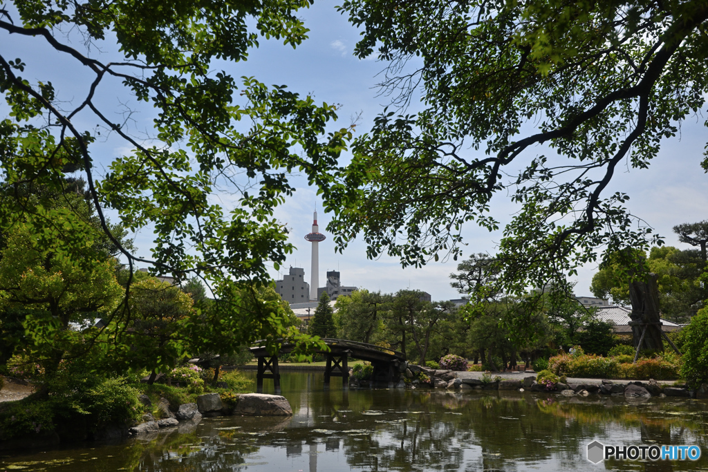 名勝 渉成園の景色 #2