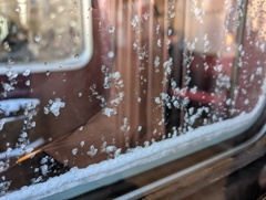 雪が降った朝