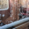 雪が降った朝