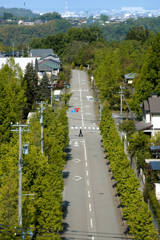 好きな丘からの景色