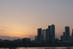 河川敷からの景色