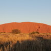ururu