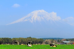 朝霧高原