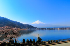 河口湖と富士