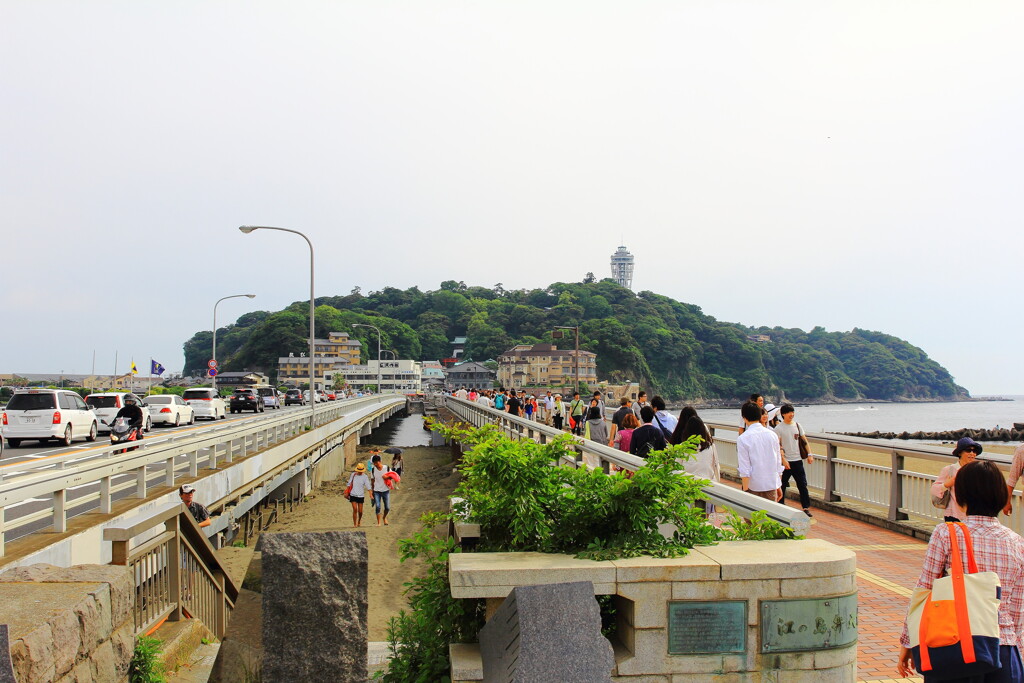 来たよ江ノ島!