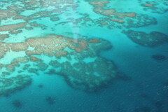 グリーンアイランドの珊瑚礁
