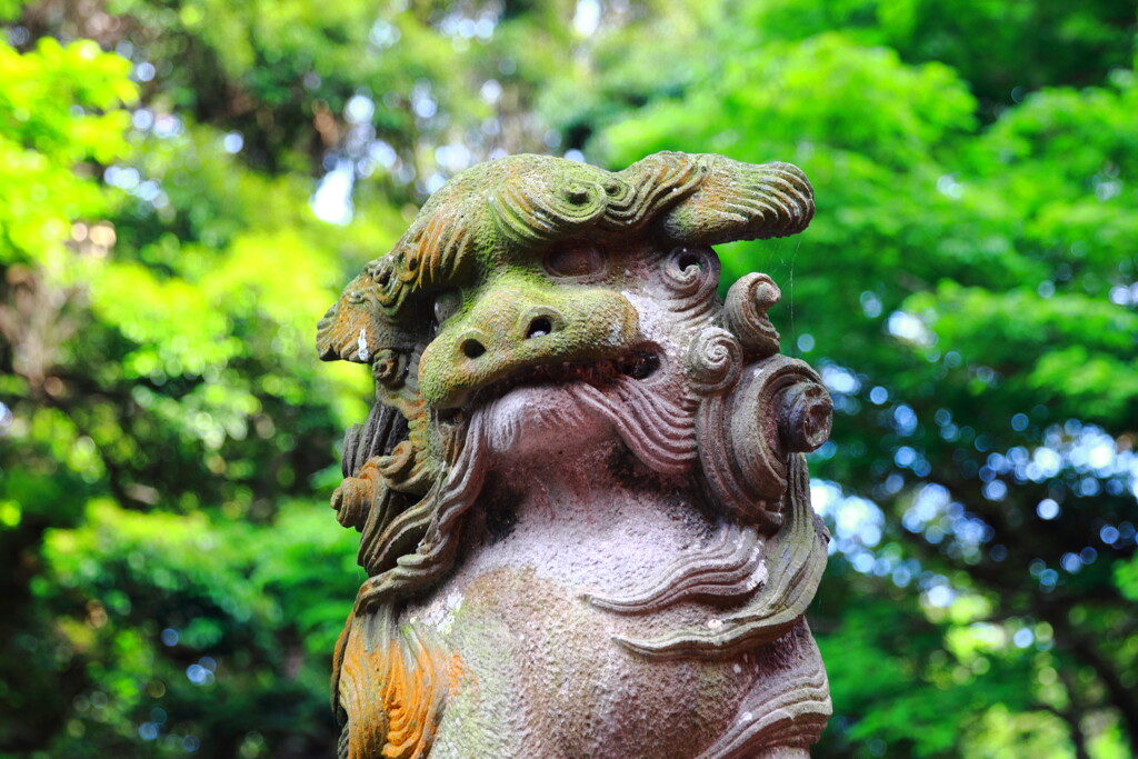 江島神社の守護獣