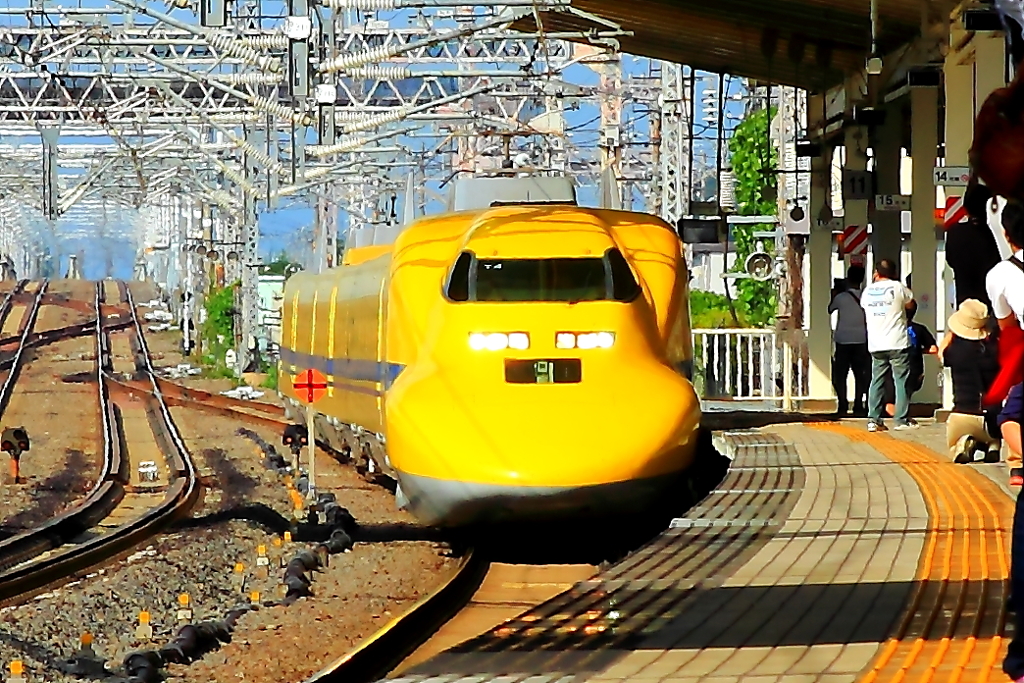 ついにご対面