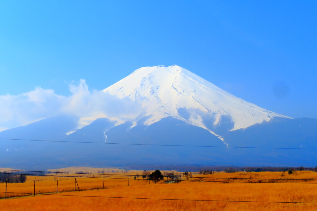 富士吉田からの富士山