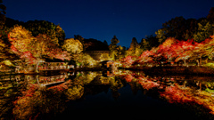 東山公園紅葉light up！