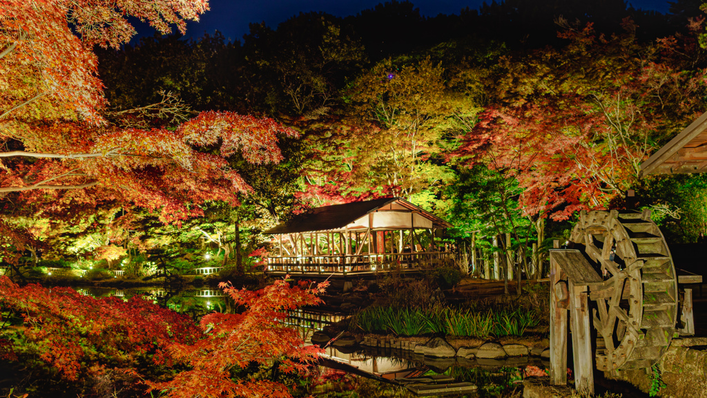 東山公園light up2