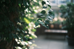 Snapshot_20250909-4