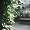 Snapshot_20250909-4