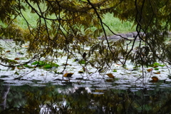 Snapshot_20250923-4