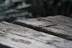 少し一休み２