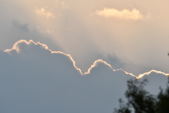 のどかな春の空