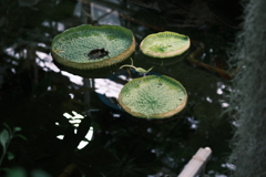 Snapshot_20250923-5