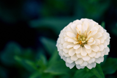 時には ゆるりと まあるく過ごす