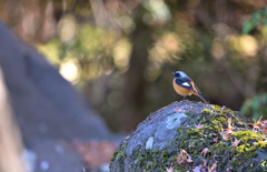 お馴染みの場所にて*:･ﾟ✧