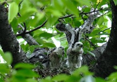 成長にびっくり　②