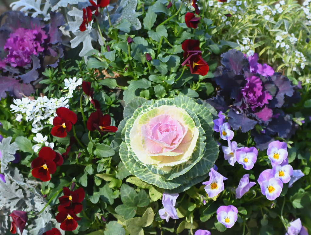 今年もよろしくお願いいたします。