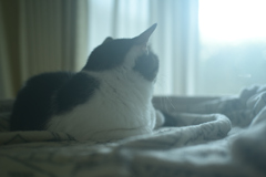すねちゃって～