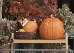 街はハロウィン