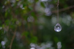 煌めいて*:･ﾟ✧