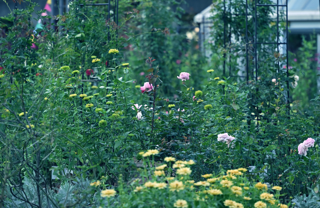 ナチュラルな秋の庭