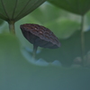 未来へ