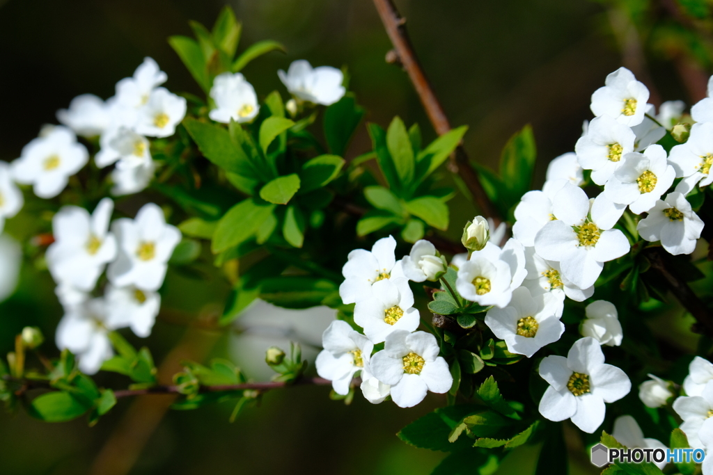 みんな、集まれ～