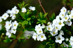 みんな、集まれ～