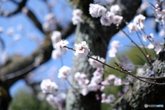 暖かい一日