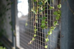 片隅で