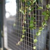 片隅で