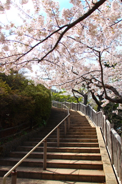 函館公園