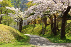 函館公園