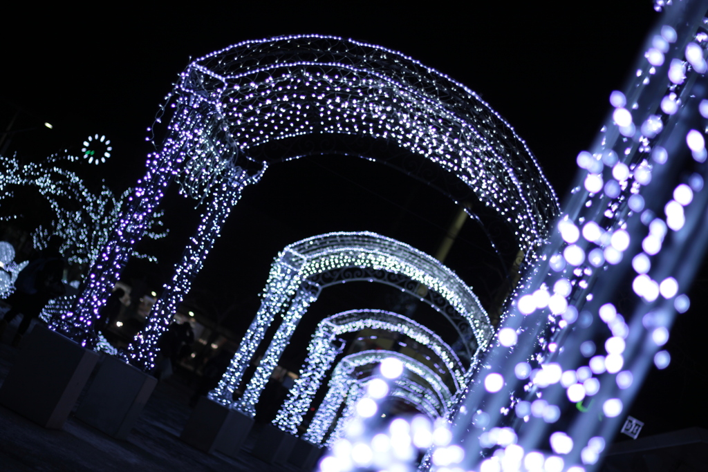 函館駅前クリスマスイルミネーション2014