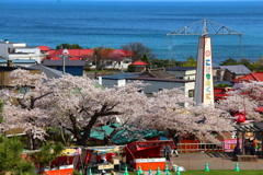 函館公園